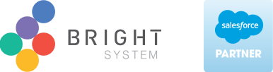 Bright System HK Trusted Salesforce CRM Partner